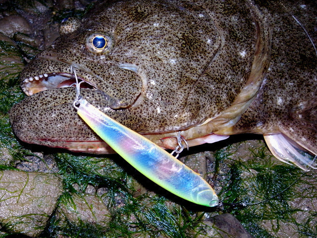 ヒラメ釣りのタックルや餌！サーフ・船からの釣り方を徹底解説！