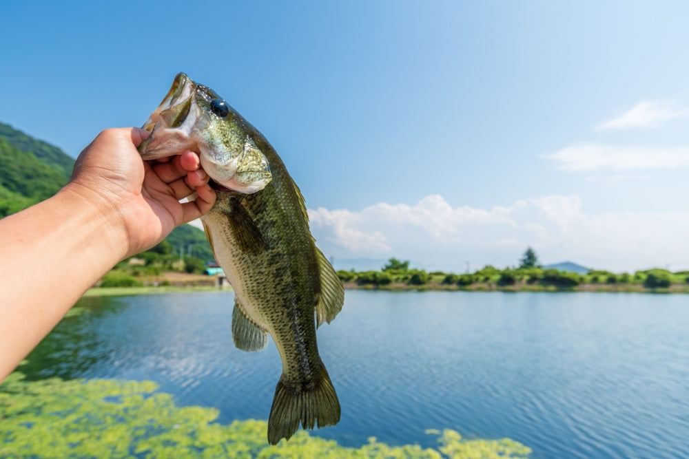 ヘビキャロの仕組みや釣り方！どんなタックルが適している？