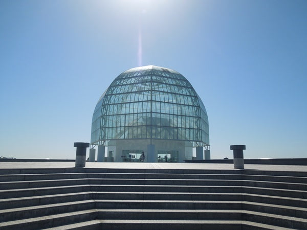 東京にある水族館10選！都心の真ん中で魚たちに癒されよう！