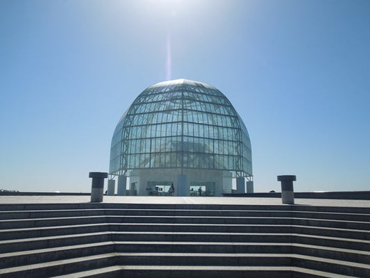 東京にある水族館10選！都心の真ん中で魚たちに癒されよう！