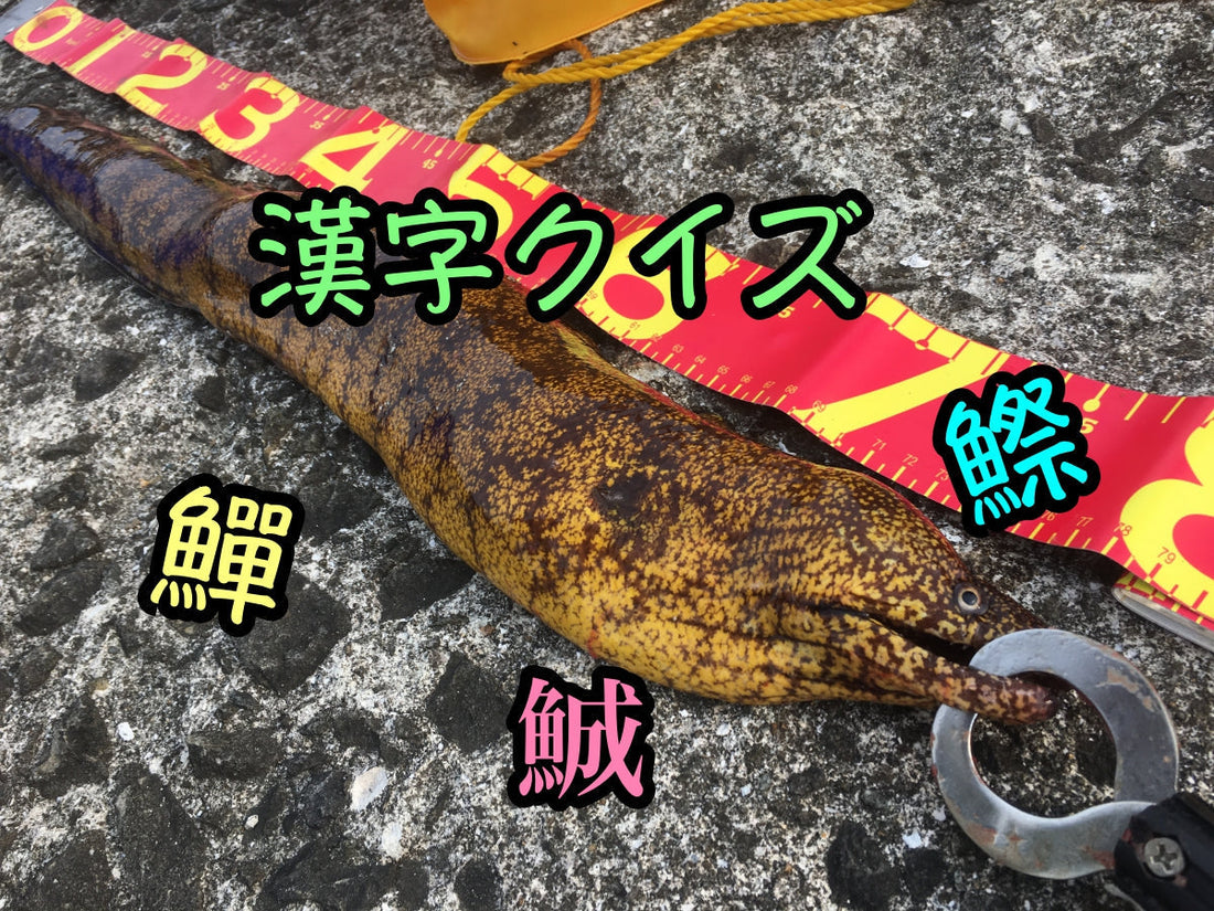 さかなへんの漢字クイズ〜上級編その①！〜これが読めればあなたは凄い！