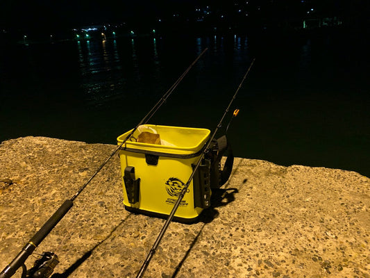 夜釣りをするメリットや注意点とは？ターゲットや道具などを完全網羅！