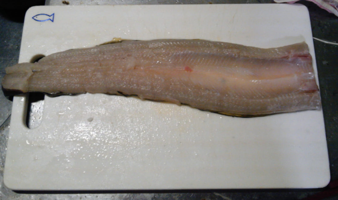 穴子の美味しい料理7選！刺身で食べるのは危険って本当？