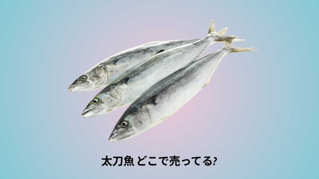 太刀魚 どこで売ってる｜購入できる店舗とおすすめ市場ガイド