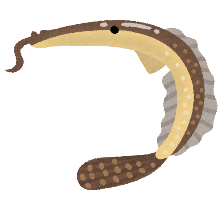 日本一長い和名を持つ魚って知ってる？なんと名前が俳句風！？