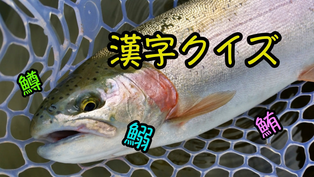 さかなへんの漢字クイズ〜初級編その①〜家族や友人とチャレンジ！