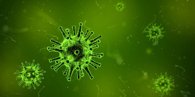 殺菌灯の効果とは？水槽に設置する際の注意点もチェック！