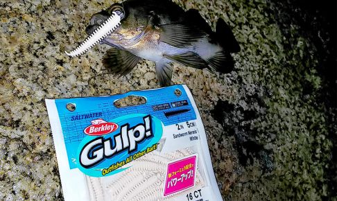 ガルプがすごい!