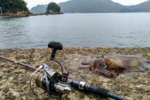 エギングロッドの特徴とは